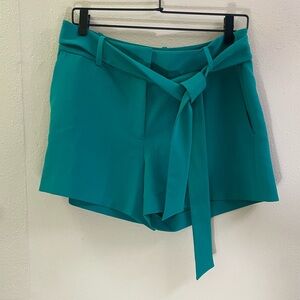Ann Taylor Womens Bowknot Tie Waist Casual Shorts